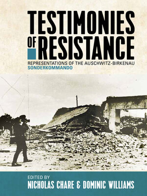 cover image of Testimonies of Resistance